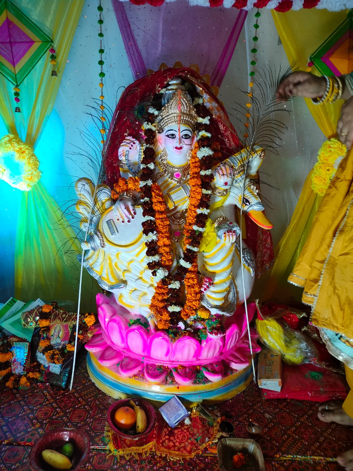 WhatsApp Image 2026 02 26 At 16 44 16